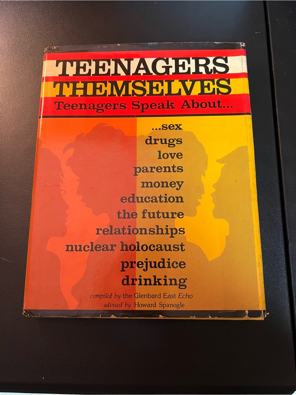 Vintage 1984 Teenagers Themselves Howard Spanogle Hardcover w/ Dust Jacket